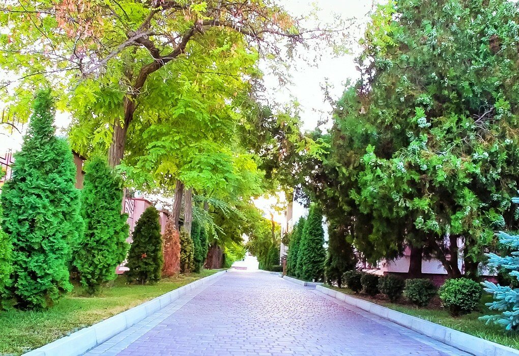 Гостиница Царь Евпатор Евпатория-33