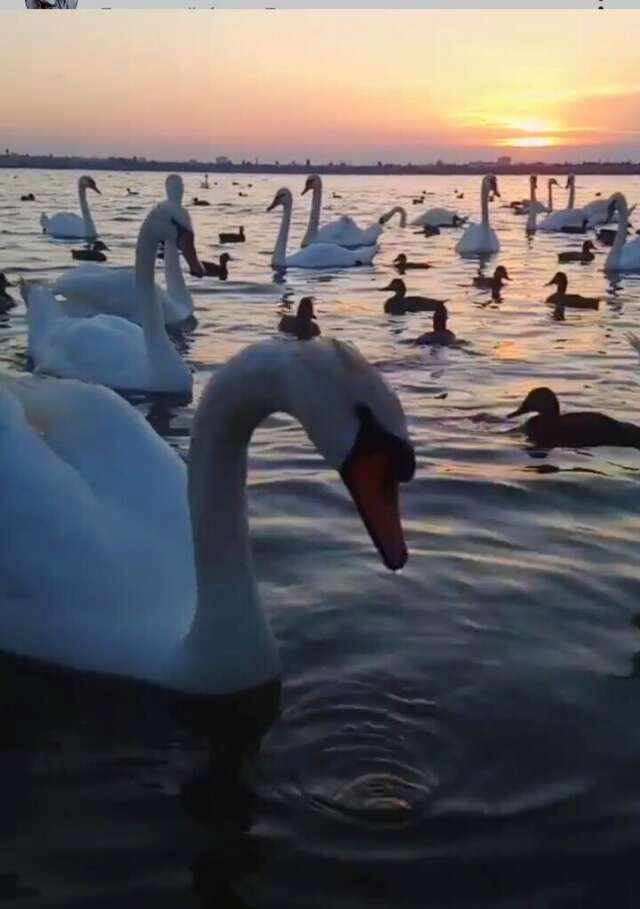 Гостиница Царь Евпатор Евпатория-76