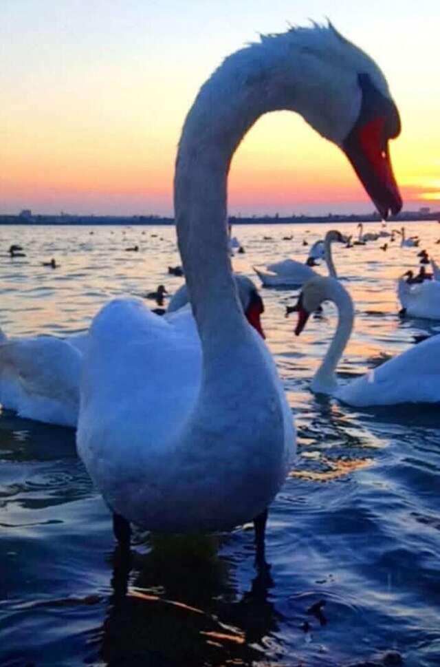 Гостиница Царь Евпатор Евпатория-77